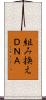 組み換えＤＮＡ Scroll