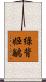 綠背姬鶲 Scroll