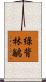 綠背林鶲 Scroll