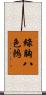 綠胸八色鶇 Scroll