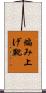 編み上げ靴 Scroll