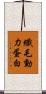 纖毛動力蛋白 Scroll