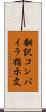 翻訳コンパイラ指示文 Scroll