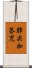 肺尖加答児 Scroll