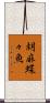 胡麻蝶々魚 Scroll