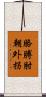 胳膊肘朝外拐 Scroll