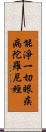 能淨一切眼疾病陀羅尼經 Scroll