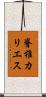 脊椎カリエス Scroll