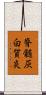 脊髄灰白質炎 Scroll