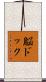 脳ドック Scroll
