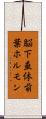 脳下垂体前葉ホルモン Scroll