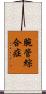 腕管綜合症 Scroll
