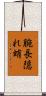 腕長隠れ蛸 Scroll