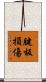 腱板損傷 Scroll