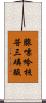 腺嘌呤核苷三磷酸 Scroll