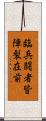 臨兵闘者皆陣裂在前 Scroll