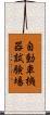 自動車機器試験場 Scroll