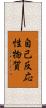 自己反応性物質 Scroll