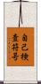 自己検査符号 Scroll