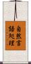 自然言語処理 Scroll