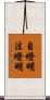 自燈明法燈明 Scroll