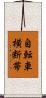 自転車横断帯 Scroll
