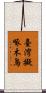臺灣擬啄木鳥 Scroll