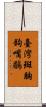 臺灣斑胸鉤嘴鶥 Scroll