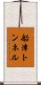 船津トンネル Scroll