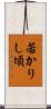 若かりし頃 Scroll