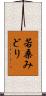 若桑みどり Scroll