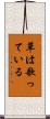 草は歌っている Scroll