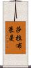 莎拉·布萊曼 Scroll