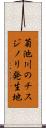 菊池川のチスジノリ発生地 Scroll