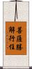 菩薩勝解行住 Scroll