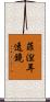 菲湼耳透鏡 Scroll