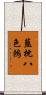 藍枕八色鶇 Scroll
