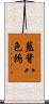 藍背八色鶇 Scroll