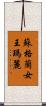蘇格蘭女王瑪麗 Scroll