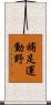 補足運動野 Scroll