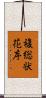 複総状花序 Scroll