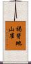褐背地山雀 Scroll