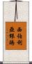 西伯利亞銀鷗 Scroll