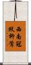 西南冠紋柳鶯 Scroll