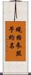 規格参照予約名 Scroll
