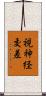 視神経交差 Scroll