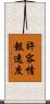許容情報速度 Scroll
