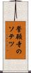 誓願寺のソテツ Scroll