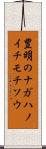 豊明のナガハノイチモチソウ Scroll