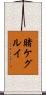 Kakegurui Scroll